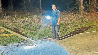 Photo of 榕吉树倒压毁电柱