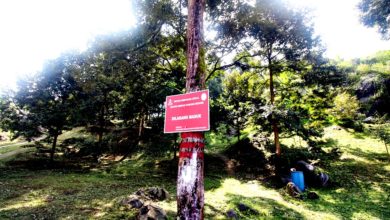 Photo of 刘天球:永久森林地无关州政府 猫联应向联邦政府提诉求