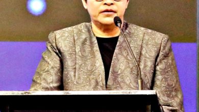 Photo of 阿莎丽娜：涵括上下议院加入教授 将成立委会改善司委会