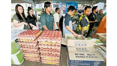 Photo of 霹昌明促销活动 食用油补贴APP试跑