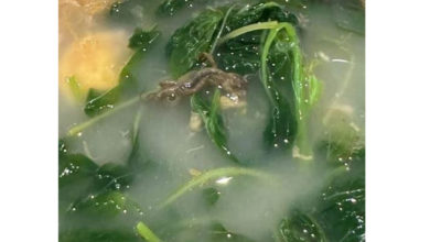 Photo of 食客诉 苋菜汤中现死壁虎 员工辩称是‘江鱼仔’