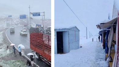Photo of 7月飞霜 青海罕见夏天下雪