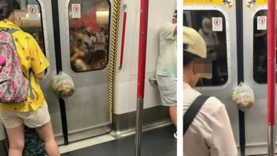 Photo of 大妈赶不及冲进车厢 外卖夹门吊半空惹爆笑