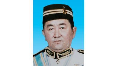 Photo of 华都村进贸易 进农场有限公司 维信迷妳市场 创办人兼董事经理 拿督斯里顏清进DGPN