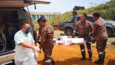 Photo of 兰瑙玩滑翔伞坠落灌木丛 本地男受伤送院