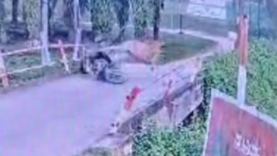 Photo of 窄桥相逢 遭牛踢落河 骑士重伤不治