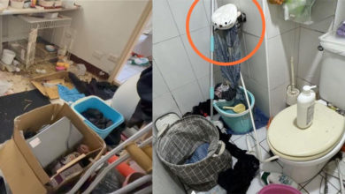 Photo of 女房客不满房东不续约 水淹房间还饿死宠物