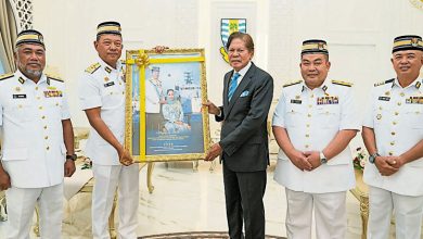 Photo of 海事机构官员拜访檳元首