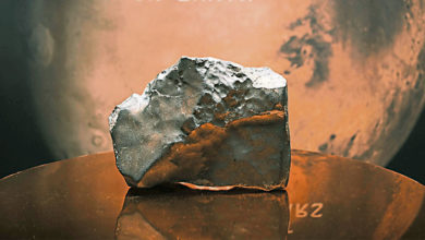 Photo of 地球最大火星陨石 2250万成交