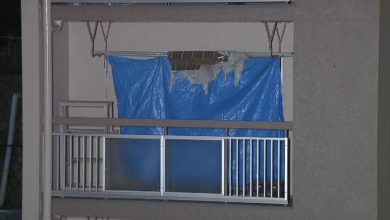 Photo of 95岁母厕所跌死变白骨 社恐儿藏尸10年