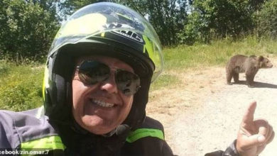 Photo of 与熊宝宝自拍惹祸 男子被母熊拖下山谷撕咬死