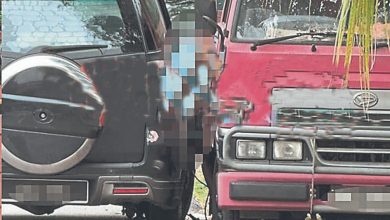 Photo of 罗里故障召父驾车前来jump start   八旬父疑因误踩油门撞死亲儿