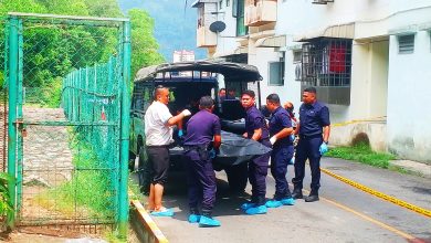 Photo of 目睹妻住家坠楼死 夫自责救不到她