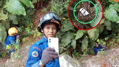 Photo of 救iPhone APM深入10米陡坡取回