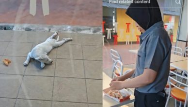 Photo of 卖剩炸鸡喂流浪狗 KFC女店员赢网民赞扬
