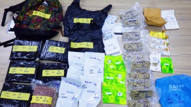 Photo of 吉破2重大毒品走私案 起逾18万元大麻捕3男