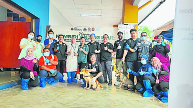 Photo of 展现马来西亚人精神 各族献力流浪狗结扎