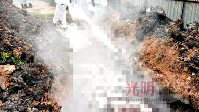Photo of 兽医局防控非洲猪瘟 平安村养猪场续消毒