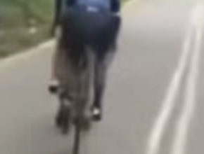Photo of 脚车队骑士挥手示意超车 却是在双白线