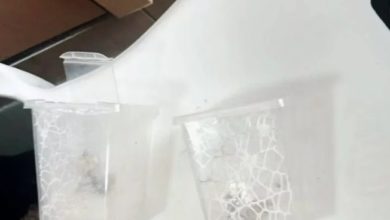 Photo of 男子杀虫剂狂喷“蟑螂” 邻居跳出来怒怼：那是我的宠物！