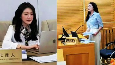Photo of 网红女律师诈261万被捕 一查才知根本没律师证