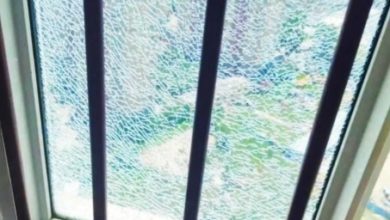 Photo of 中国多地高温破纪录 鹅在水中热死