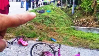 Photo of 骑脚车去学校食堂上班 遭罗里撞后逃 老妇毙命