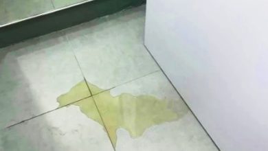 Photo of 顾客试衣间小解 员工崩溃:拖地3次还有味道