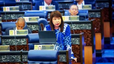 Photo of 【国会】“先买后付”用户激增至650万 林慧英：政府拟立法防风险