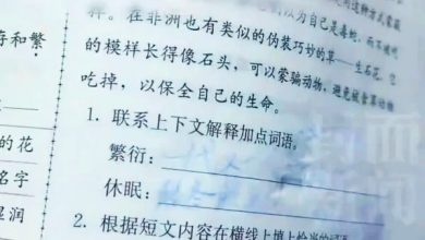 Photo of 小学生用“擦擦笔”写作业 高温天气字迹“热到消失”