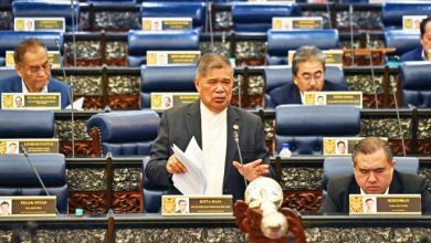 Photo of 【国会】农长：鸡蛋补贴8月全面取消 每月省4500万 保供应稳定