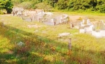 Photo of 【视频】罗里司机停路旁睡觉 醒来食肆不见 变坟场