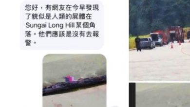 Photo of 双溪龙花果山尸首 疑失踪印裔男遭弃尸