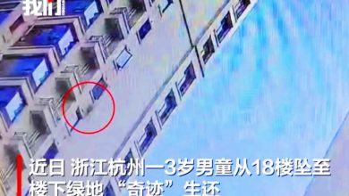 Photo of 3岁男童18楼坠下奇迹生还 家长:挂树缓冲