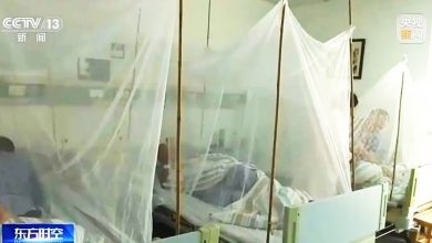 Photo of 中国广东佛山爆基孔肯雅热疫情 逾2600确诊