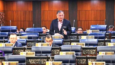 Photo of 【国会】副内长:AI深伪儿童不雅影片 追踪色情罪犯遇挑战