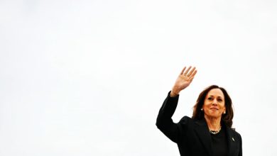 Photo of 贺锦丽卷土重来？ 传2028再参选美国总统