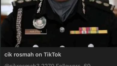 Photo of 假扮“Cik Rosmah”行骗 移民局促警惕