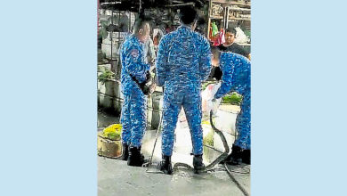 Photo of 巨蟒潜伏马口公市 小贩召民防队捉走