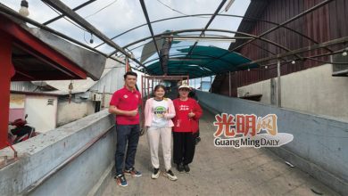 Photo of 房地部拨逾23万推旅游 美化提升十八丁新村