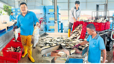 Photo of 【新闻多点看】泰祭繁杂检疫 金目鲈大回流 谁守护高渊港口渔民