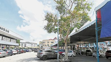 Photo of 芙蓉办公开娱乐性舞台 非盈利组织可豁免押金