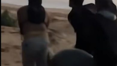 Photo of 海龟上岸产卵遭3男强行抬走 网民怒吼：必须严惩