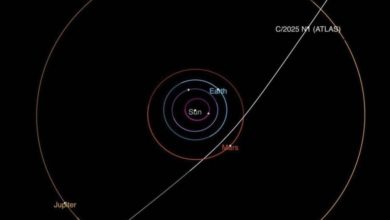 Photo of 太阳系迎来第三位“闯入者”，“星际访客”什么来头？