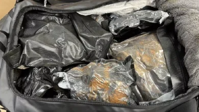 Photo of 奥克兰国际机场破毒品走私案 27人被捕15人竟是机场行李员