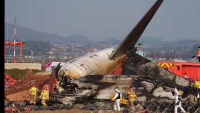 Photo of 济航空难“甩锅机师 鸟击” 家属气炸 官方调查报告急喊卡