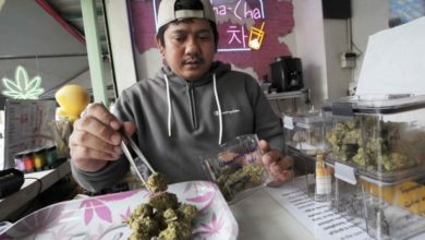 Photo of 泰国两岁女童误食10颗大麻软糖 急性过敏昏迷入院