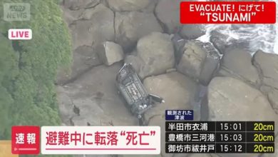 Photo of 躲海啸丧命 日女驾车不慎坠崖身亡