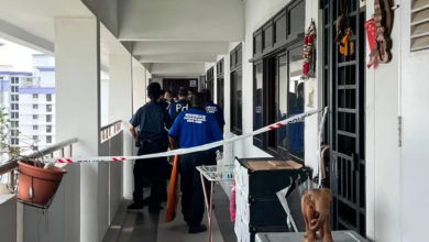 Photo of 为继承养母组屋挥菜刀砍死养父 养女承认误杀罪