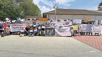 Photo of 怡市厅疑不人道处理流浪狗 逾百人集会促政府调查